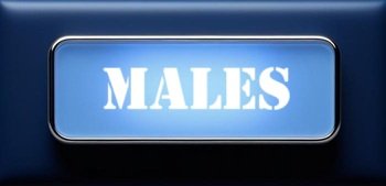 roleplay chat to an ai male now